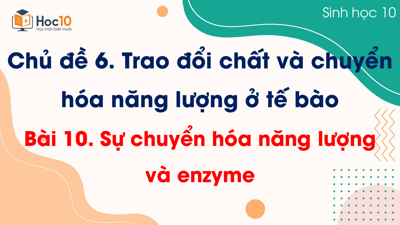 Bài 10 Sự chuyển hóa năng lượng và enzyme